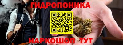 прущие крисы Славгород