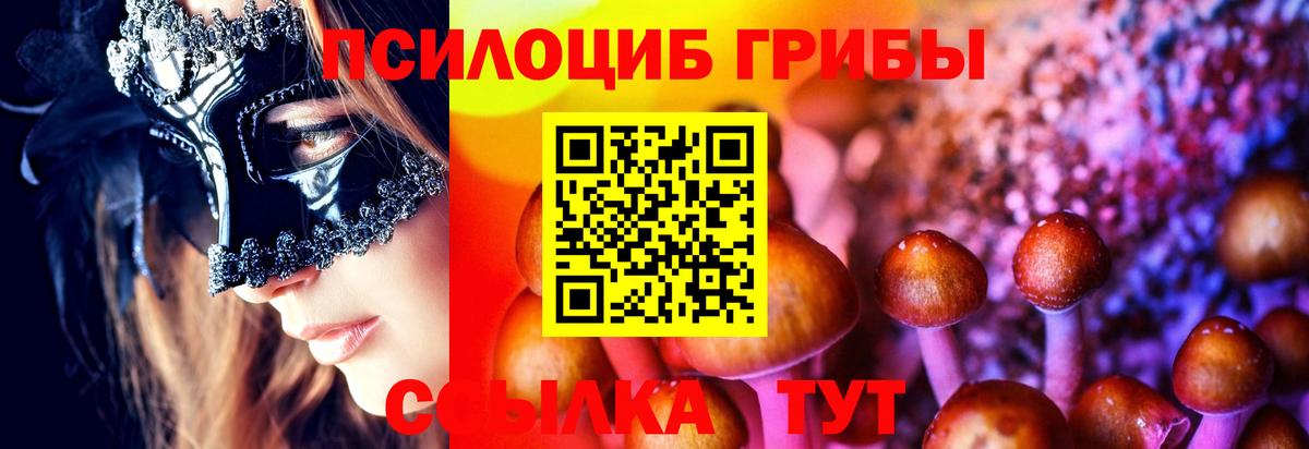 Псилоцибиновые грибы Magic Shrooms Миллерово
